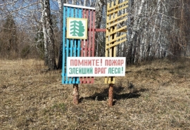 МЧС заявило о нарушениях в пяти районах Омской области