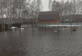 Коттеджный поселок в Омске затопило почти по окна