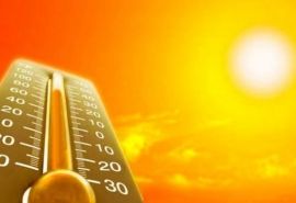 Омск пережил самый жаркий день августа за последние сто лет