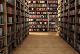 Роскомнадзор вынужден заблокировать крупнейшую библиотеку «Либрусек»