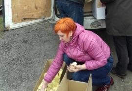 Жителям поселка Николаевка раздали несколько тысяч цыплят