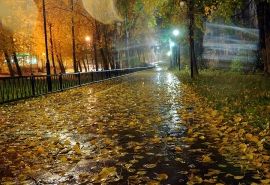 Октябрь в Омске начнется с холода и дождя
