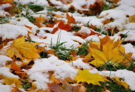 Снег и холод: синоптики рассказали о погоде в Омске на выходные