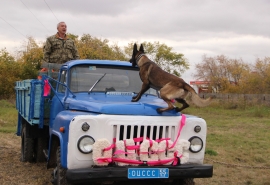 В Омске собак воспитывают грузовиком