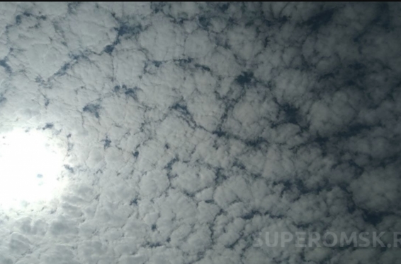 Омский врач сообщила об угрозе для здоровья омичей при установившейся жаре