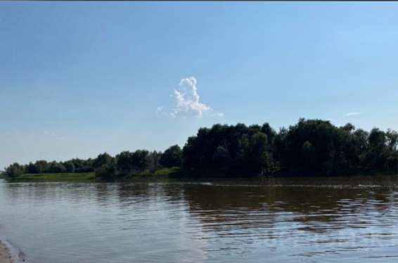 Челябинский предприниматель приобрел остров у компании Голушко