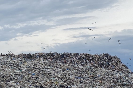 Победителю омской мусоросортировочной концессии за 4 миллиарда ищут замену