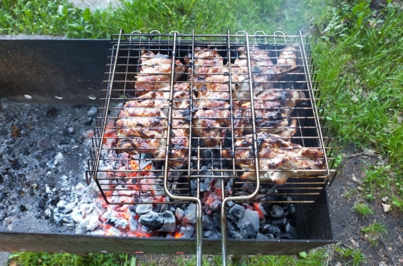 По всей Омской области вступил в силу запрет на жарку шашлыков