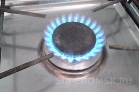С руководством Минприроды РФ обсудили газификацию частного сектора Омска