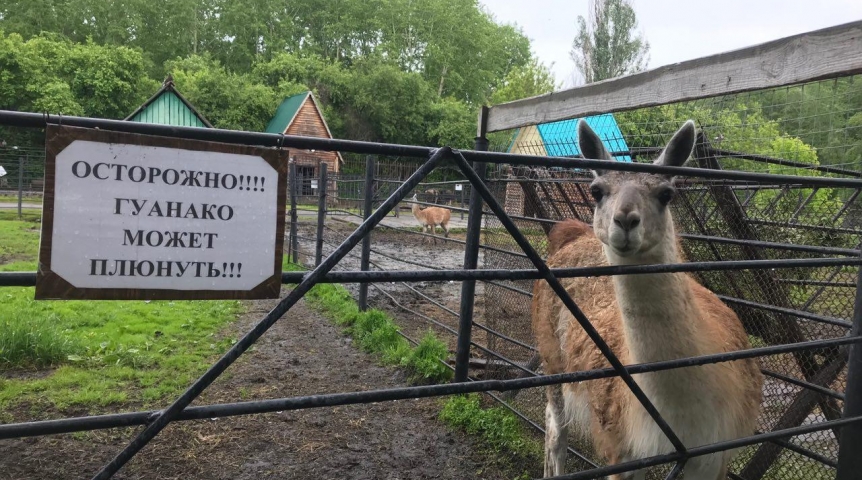 Омский зоопарк фото