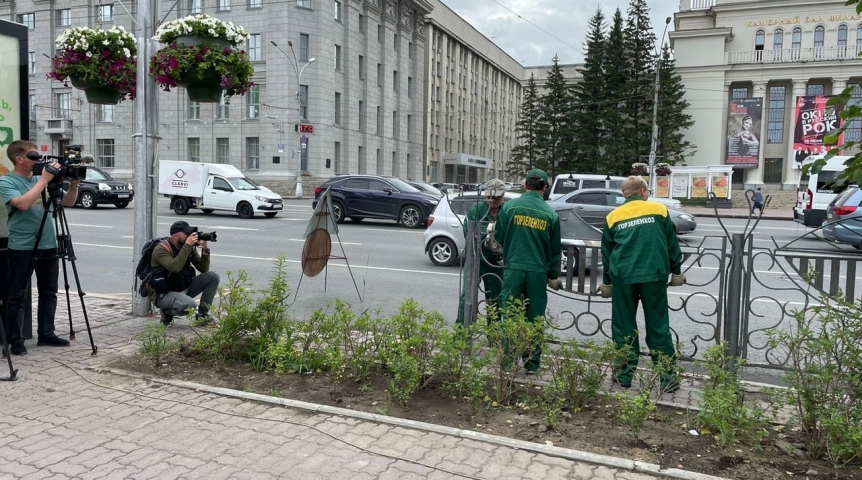 В Новосибирске заменяют металлические ограды кустарниками В Новосибирске заменяют металлические ограды кустарниками