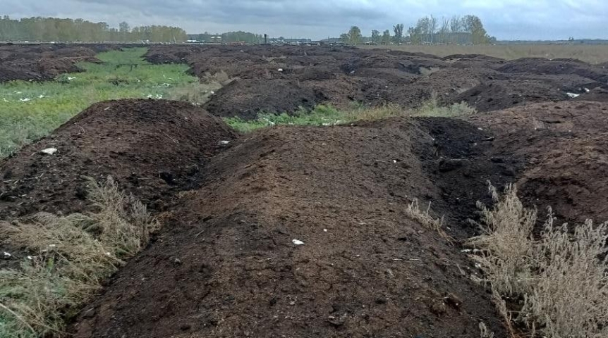 Россельхознадзор заявил о загрязнении земли в Омском районе фекальными бактериями