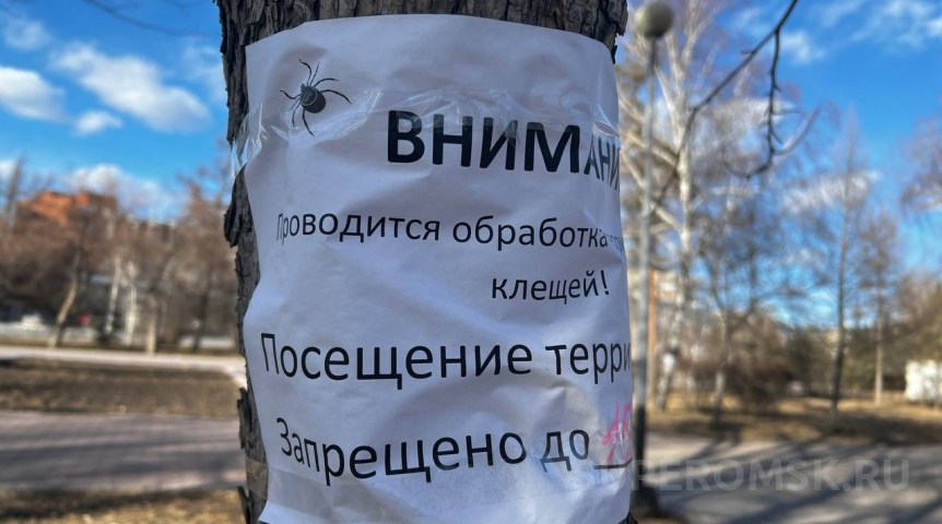 За неделю число покусанных клещами омичей выросло в 10 раз
