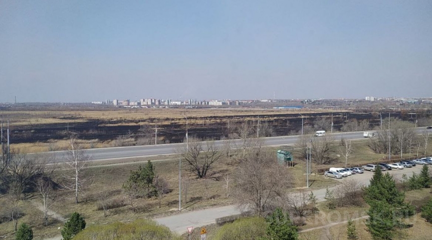 В Омской области второй день полыхает лесной пожар