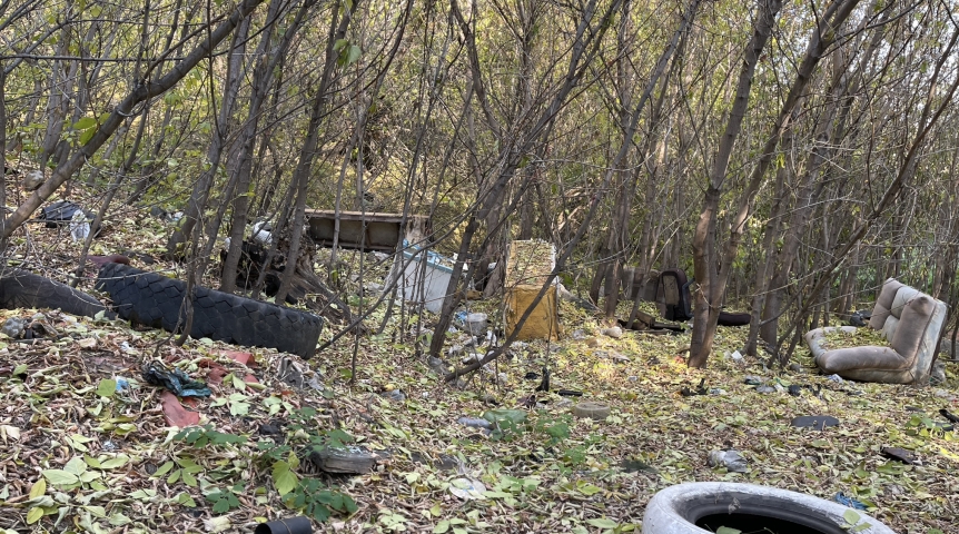 За неправильную утилизацию мусора омичи получили штраф в 40 тысяч рублей