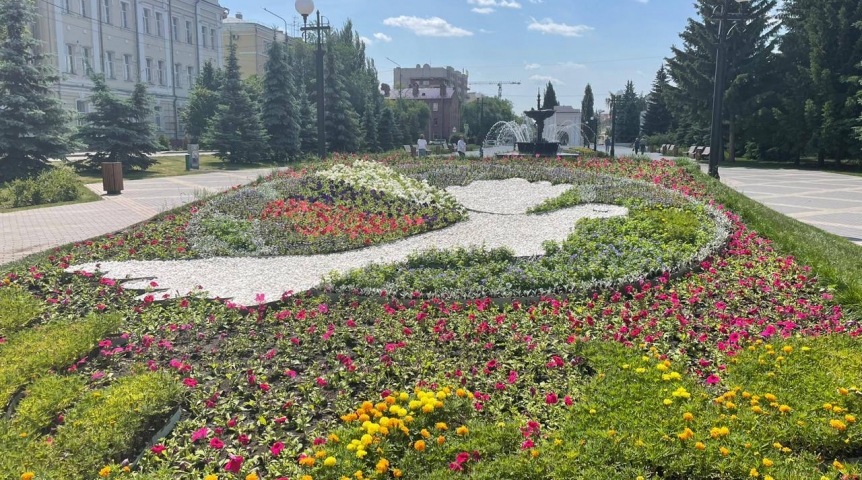 Общество В центре Омска создали голубя мира из 14 тысяч цветов