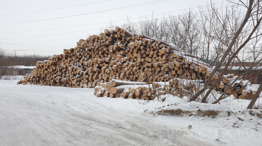 В Омской области завершили расследование уголовного дела о незаконных рубках леса на 32,7 миллиона рублей