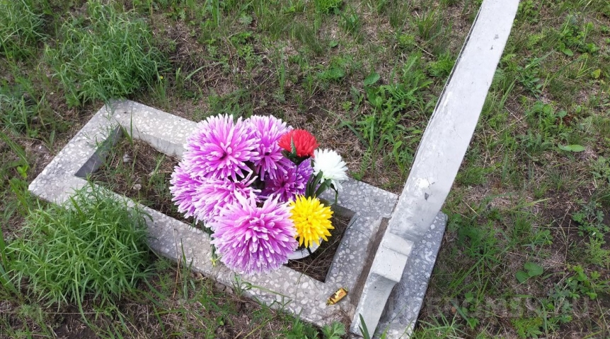 В Омской области сократилась смертность В Омской области сократилась смертность