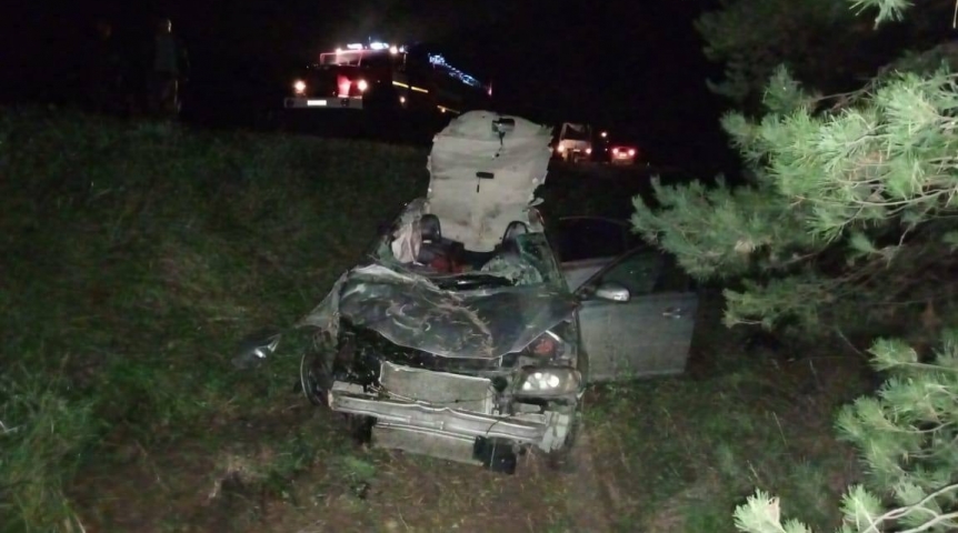 При столкновении авто с лошадью погиб молодой житель Омской области