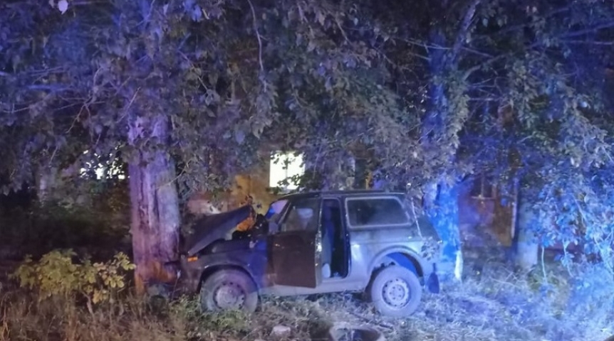В Омске пожилой водитель врезался в дерево и погиб