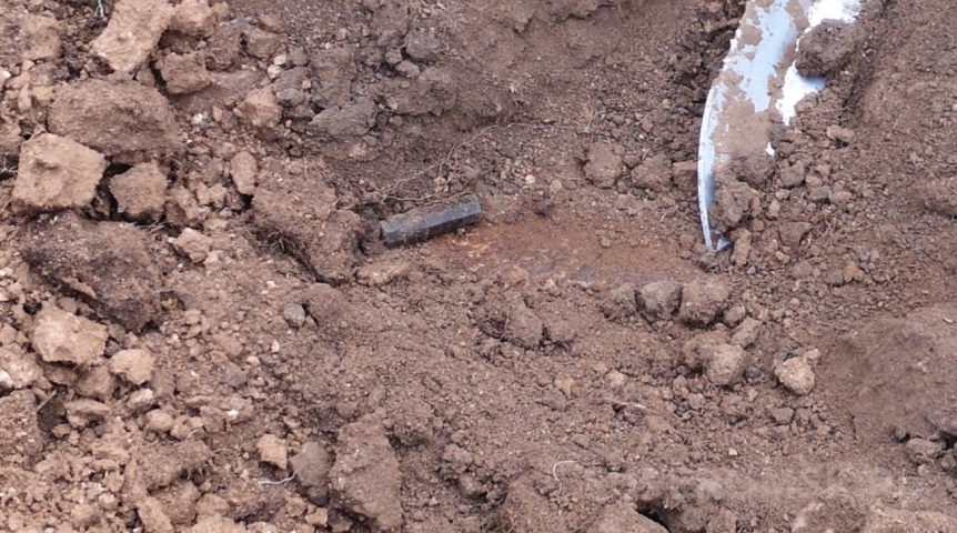 Красноармеец родом из Омской области обрел покой под Санкт-Петербургом