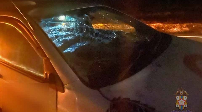На трассе под Омском «Тойота» насмерть сбила идущего по обочине пешехода На трассе под Омском «Тойота» насмерть сбила идущего по обочине пешехода