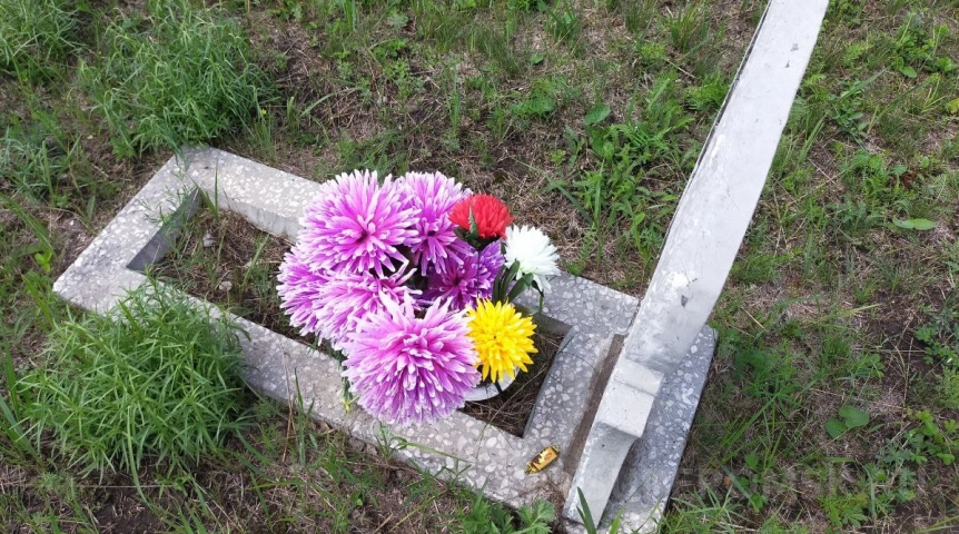 Общество В Омской области смертность упала ниже «допандемийного» периода