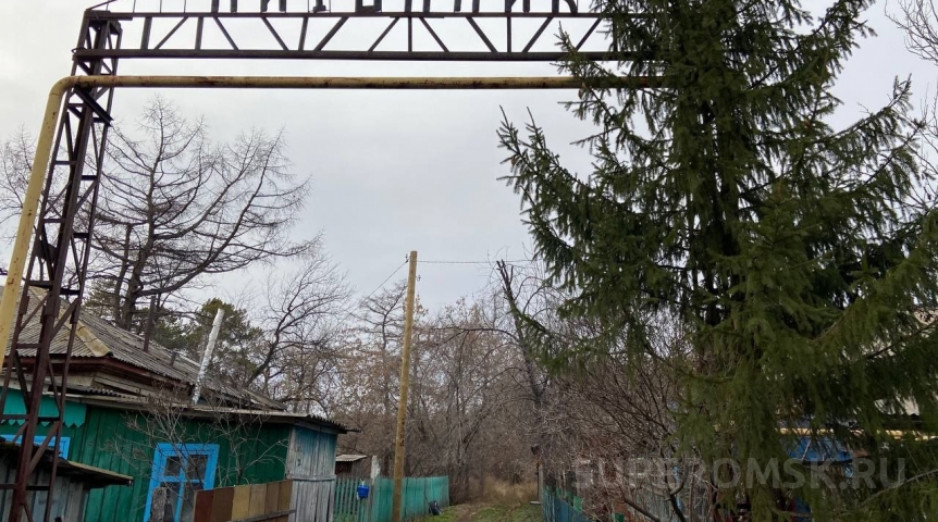 В Омской области 70-летний дендропарк с могилой его основателю оказался бесхозным