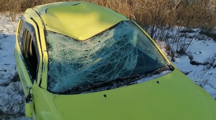 На трассе под Омском опрокинулась ярко-желтая «Тойота»: пострадали женщина и ребенок