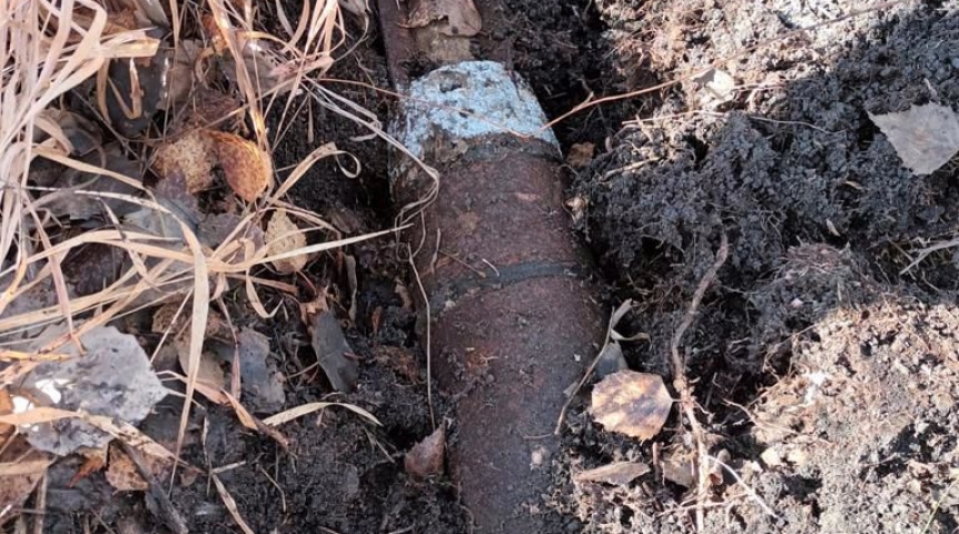 Общество У трассы в Омской области нашли два артиллерийских снаряда