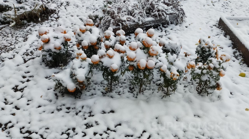 Растает ли выпавший снег в Омске?