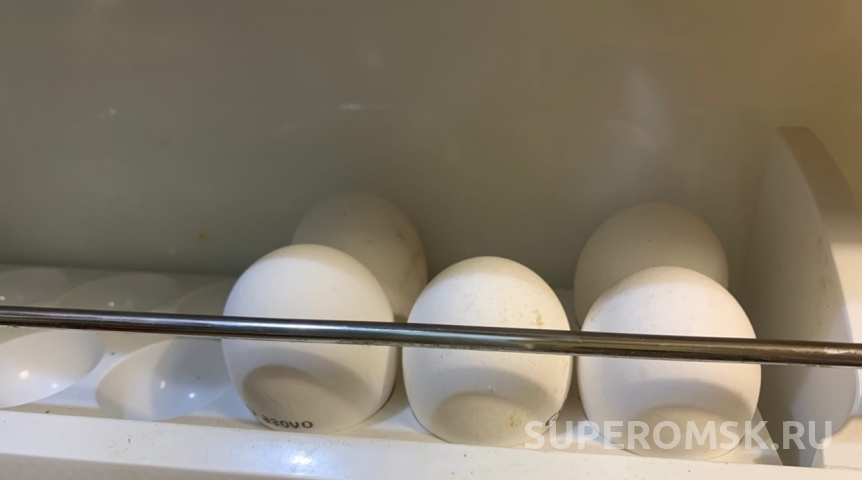 Омич показал огромную свалку яиц в поселке Чкаловский