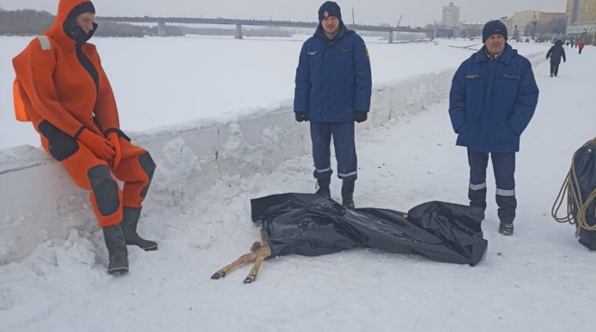 В Омске со льда Иртыша эвакуировали тело косули