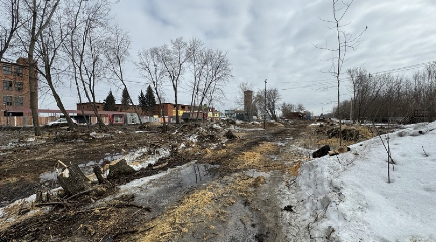Мэрия прокомментировала вырубку дикого парка в Кировском округе Омска