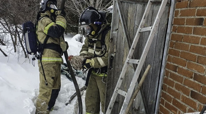 В Омской области во время пожара спасли полсотни курочек