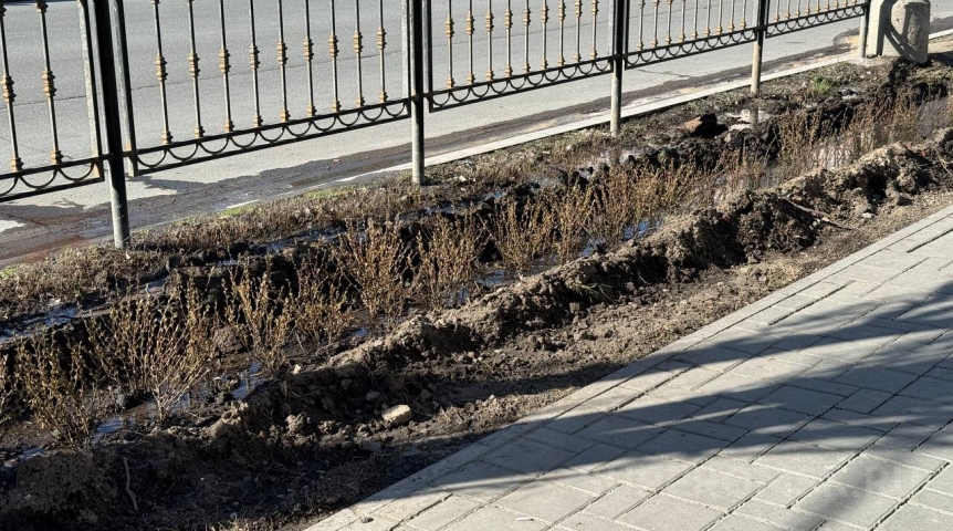 Общество Под только высаженными кустарниками в центре Омска прорвало трубу
