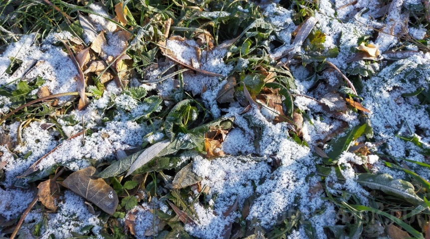 В Омской области ударят заморозки