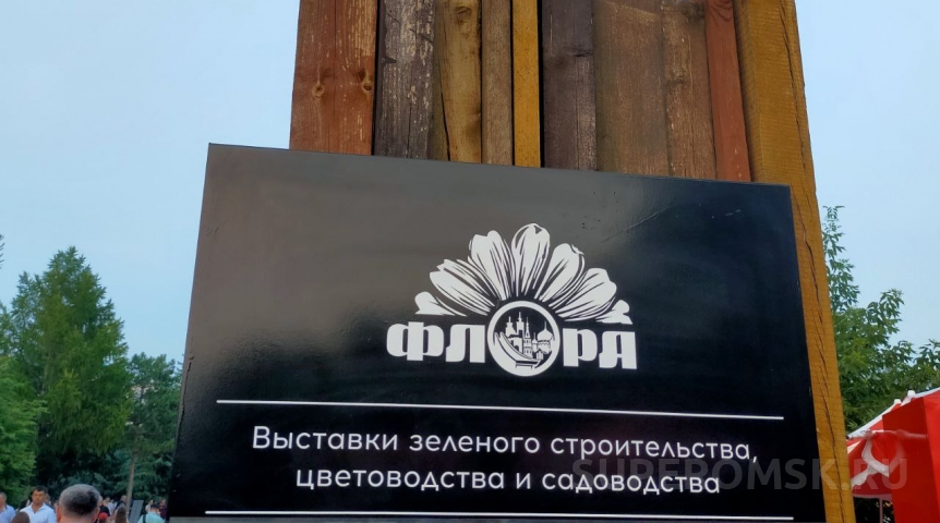 Общество В Омске ливни повредили посадки для «Флоры»