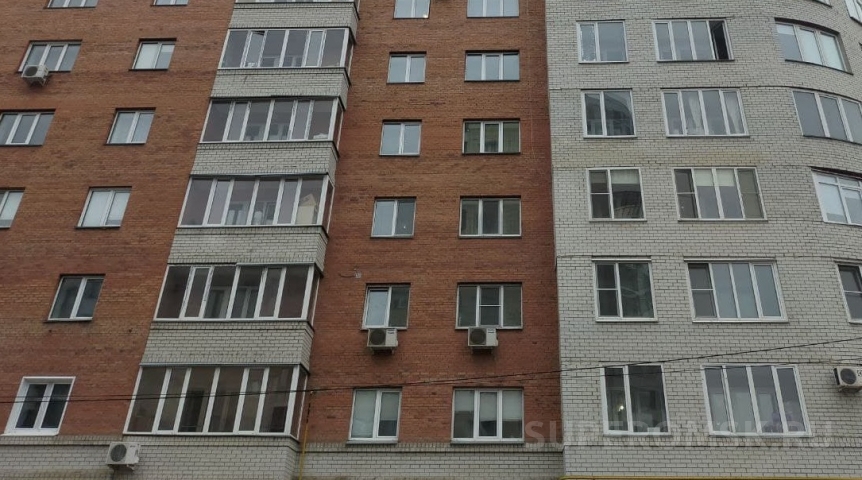 В Омске оказавшаяся на балконе собака упала с шестого этажа