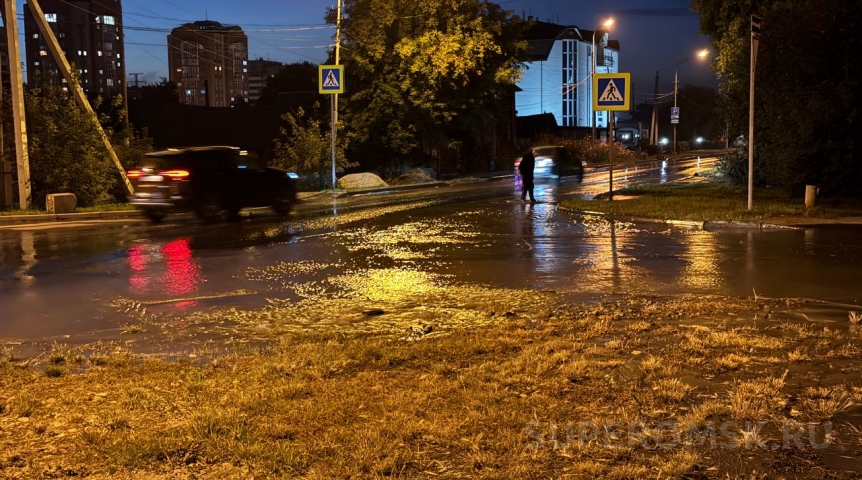 Улицу Шебалдина в Омске залило стоками