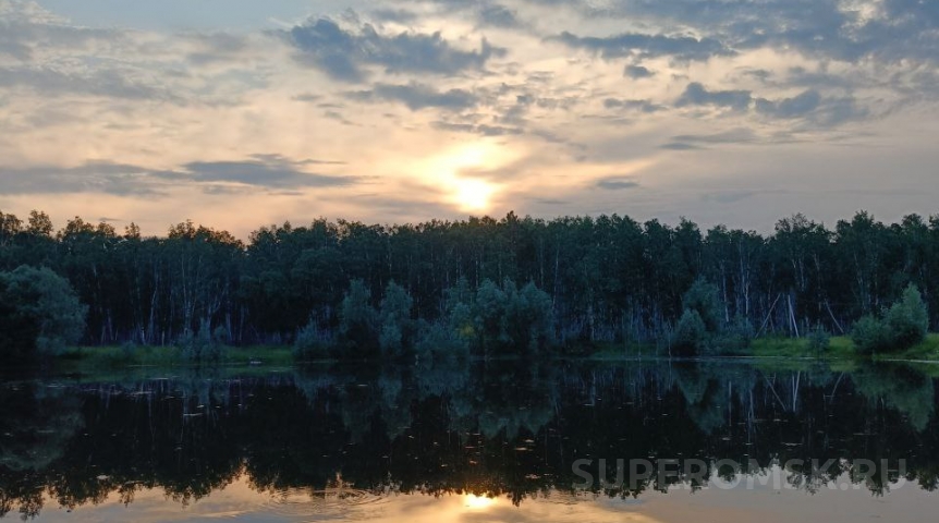 В пруду на севере Омской области обнаружили авто с трупом водителя