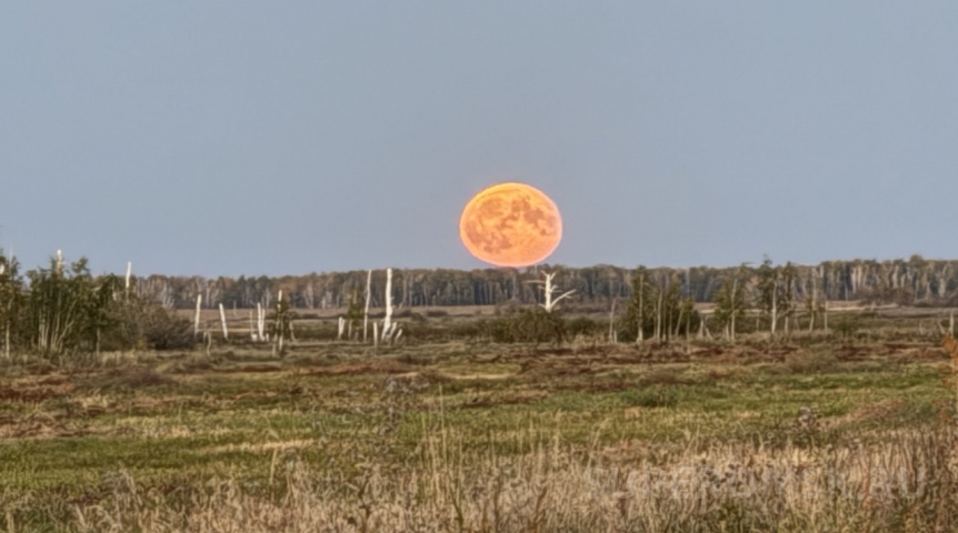 Омич заснял необычную луну в поле