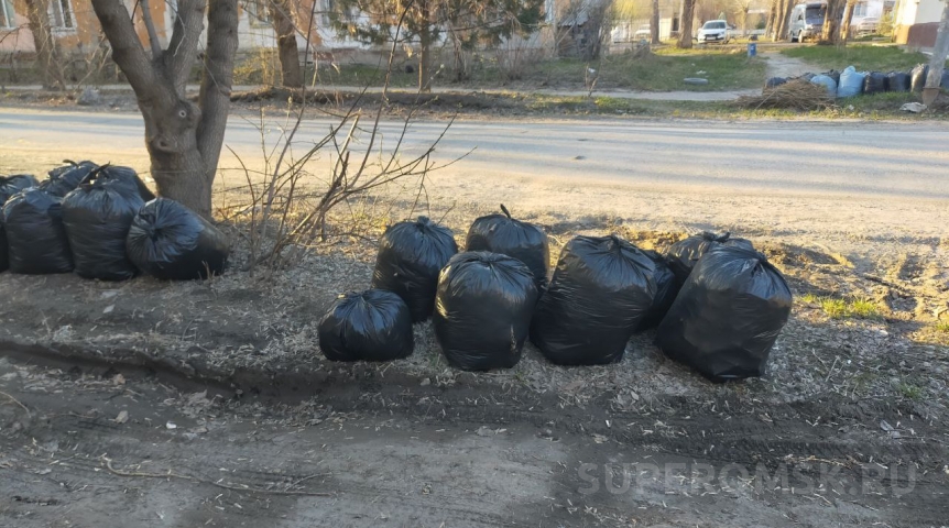 Объявлена дата общегородского осеннего субботника в Омске