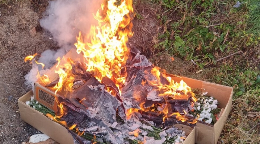 В Омске сожгли партию опасных цветов из Казахстана