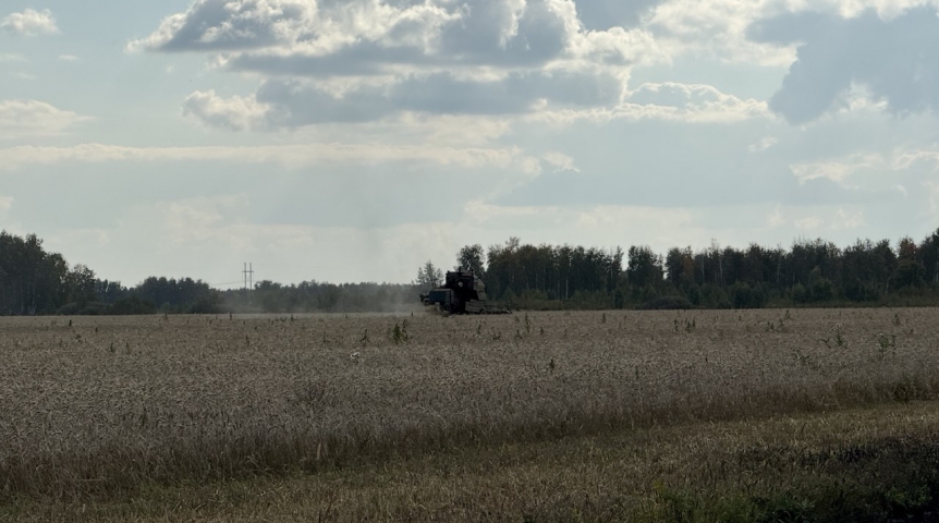 На уборочной в Омской области загорелся комбайн