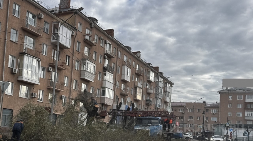 У Ленинградского моста в Омске кронируют деревья