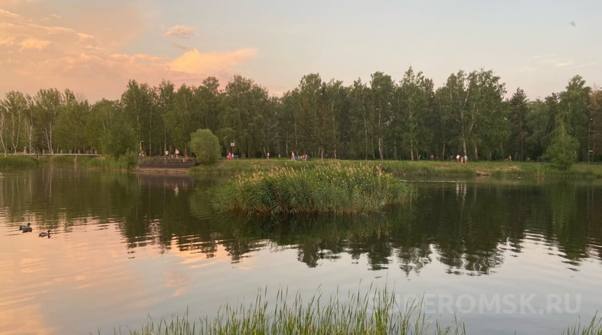 Утки и лебеди покинули омский парк