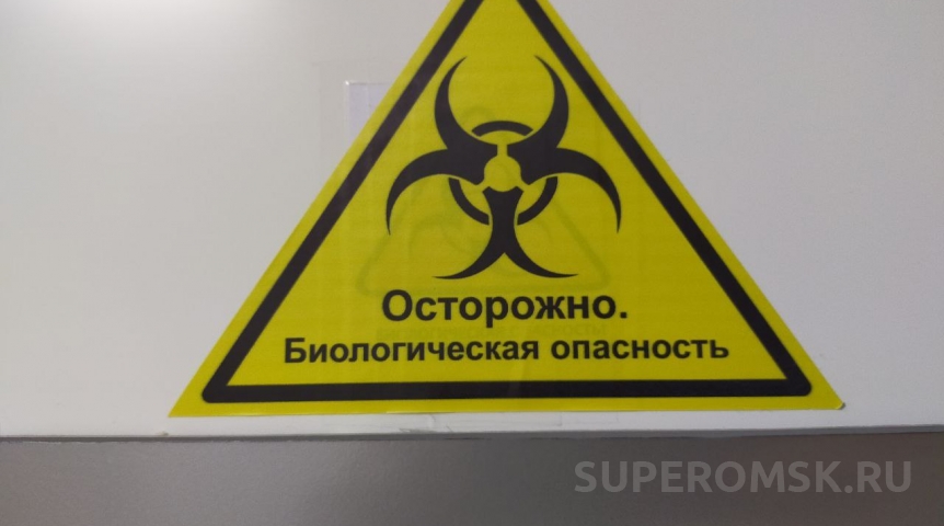 В районе Омской области устанавливают ограничения из-за смертельно опасной инфекции