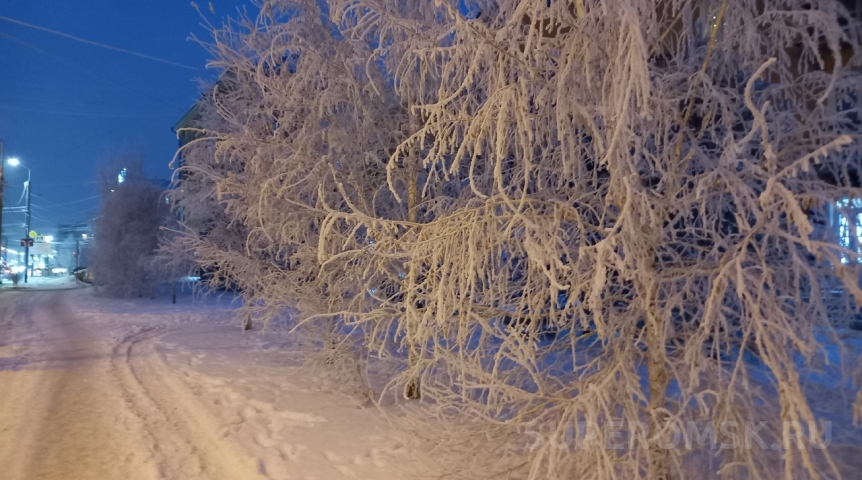 По Омску среди зимы ходит девушка в майке и шортах, но в шапке