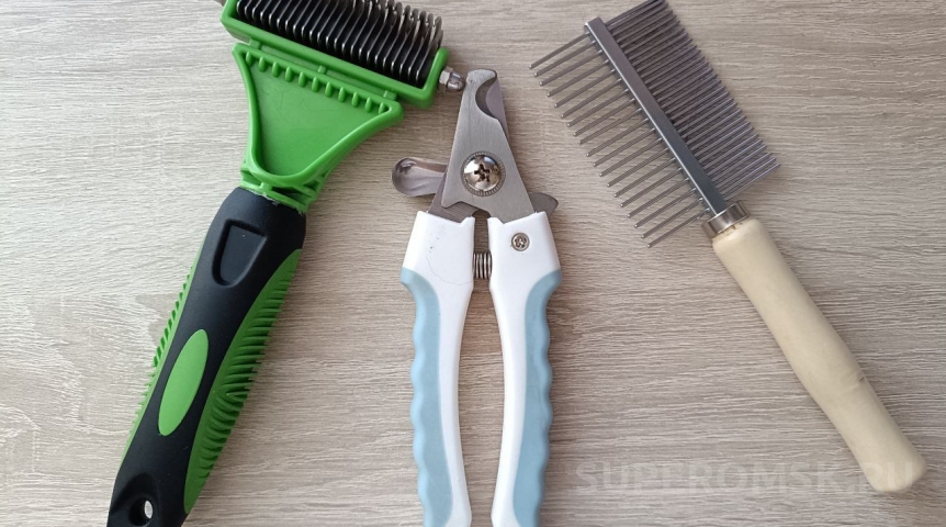 Скромная собачка Бэлла навела красоту перед женским праздником